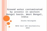 Anusha-Balangoda-Arsenic-West-Bengal-2010 (1)