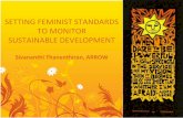 Setting Feminist Standards to Monitor Sustainable Development