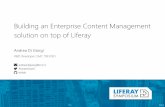 Building an Enterprise Content Management solution on top of liferay