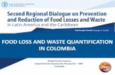 Food Loss and Waste Quantification in Colombia