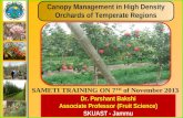 Canopy management in fruits