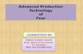 Advanced  production technology of pear