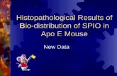 084 biodistribution of spio in apo e mouse
