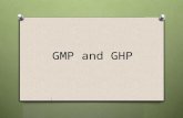 GMP and GHP