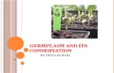Germplasm and its conservation