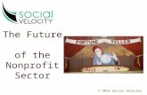 The Future of the Nonprofit Sector