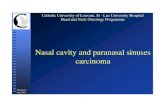Nasal cavity and paranasal sinuses carcinoma