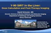 Y-90 SIRT in the Liver: Dose Calculation and Post-Therapy Imaging