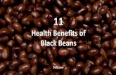11 Health Benefits of Black Beans