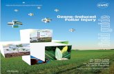 Ozone-Induced Foliar Injury