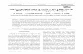 Myxozoan infections in fishes of the Tasik Kenyir Water Reservoir ...