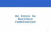 An Intro to Business Combination by Arthik Davianti