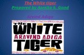 White tiger novel by Arvind Adiga