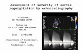 Echocardiography assessment of Aortic Regurgitation severity