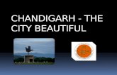 Chandigarh   the city beautiful