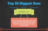 Top 10Biggest zoos in the world