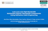 Low-Loss and High-Bandwidth Multimode Polymer Waveguide Components Using Refractive Index Engineering