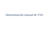 Determinación manual de VSG