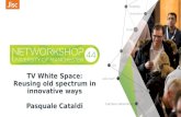 Tv white space reusing old spectrum in innovative ways  - Networkshop44