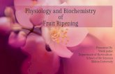 Physiology and biochemistry of ripening fruit