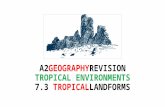 CAMBRIDGE GEOGRAPHY A2 REVISION - TROPICAL ENVIRONMENTS: TROPICAL LANDFORMS