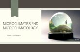 Week 4.1 microclimates and microclimatology