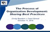 The Process of OD:  Sharing Best Practices with TODN