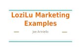 Social Media & Marketing Highlights - Joe Ariniello - LoziLu
