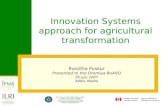 Innovation systems approach for agricultural transformation