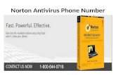 Norton Antivirus Phone Number 1-800-644-5716