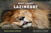 What Causes Laziness? - By Simeon Adedokun