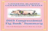 2015 Congressional Pig Book Summary