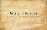 Arts and science anatomists
