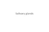 Salivary glands tumours