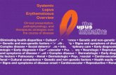 Systemic Lupus Erythematosus Overview - The Lupus