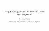Slug Management in No-Till Corn and Soybeans - Clark (PDF)