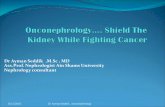 Dr ayman seddik , onconephrology shield the kidney while fighting cancer final 1542015