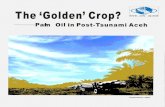 The Golden Crop? Palm Oil in Post-Tsunami Aceh