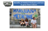 Benefits of Medical Marijuana and how to grow them indoors