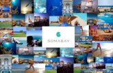 Luxury Apartments with installment 5 years at Soma Bay Resort on Red Sea