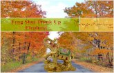 Feng shui trunk up elephant  for wish fulfilment