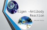 Antigen –antibody reaction
