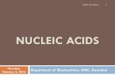 Nucleotides and nucleic acids