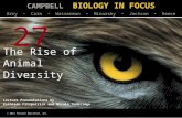Biology in Focus - Chapter 27
