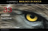 Biology in Focus - Chapter 33