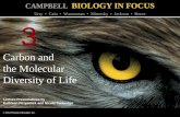 Biology in Focus Chapter 3