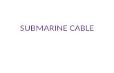 Submarine cable