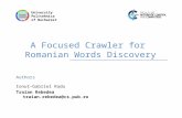 A focused crawler for romanian words discovery