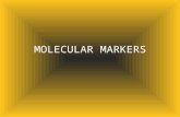 Molecular markers used in biotechnology