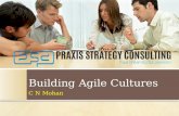 atd15-Building agile cultures-Chikmagalur Mohan